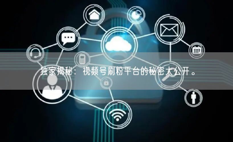 独家揭秘：视频号刷粉平台的秘密大公开。