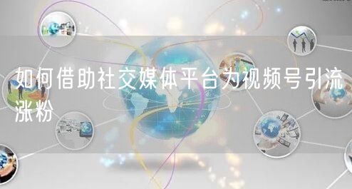 如何借助社交媒体平台为视频号引流涨粉
