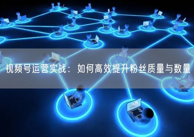 视频号运营实战：如何高效提升粉丝质量与数量