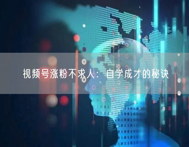 视频号涨粉不求人：自学成才的秘诀