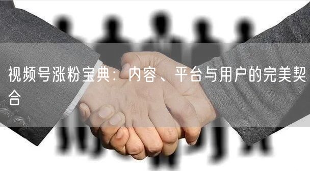 视频号涨粉宝典：内容、平台与用户的完美契合