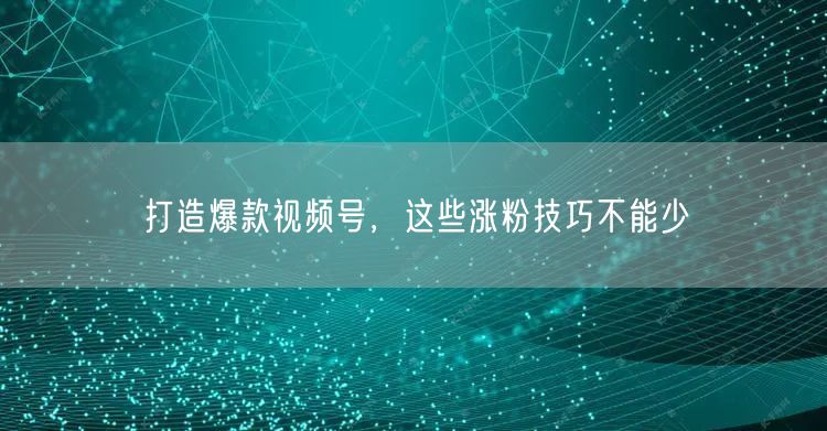打造爆款视频号，这些涨粉技巧不能少