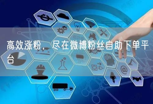 高效涨粉，尽在微博粉丝自助下单平台