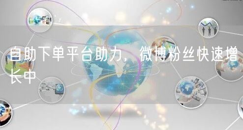 自助下单平台助力，微博粉丝快速增长中