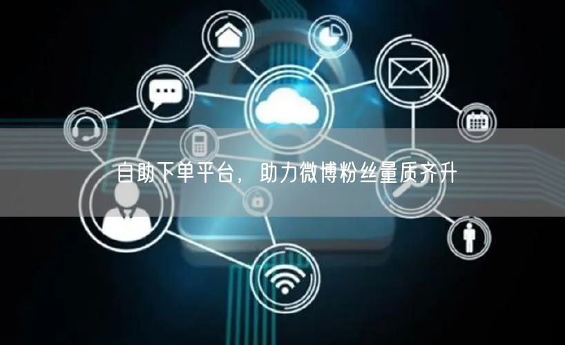 自助下单平台，助力微博粉丝量质齐升