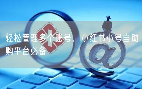 轻松管理多个账号，小红书小号自助购平台必备