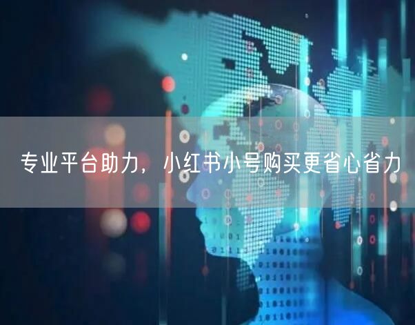 专业平台助力，小红书小号购买更省心省力