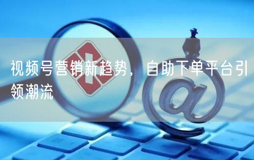 视频号营销新趋势，自助下单平台引领潮流