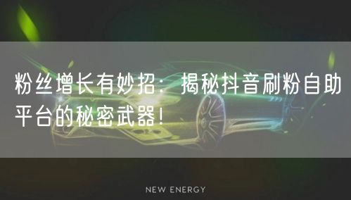 粉丝增长有妙招：揭秘抖音刷粉自助平台的秘密武器！
