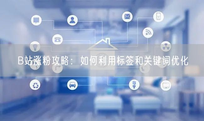 B站涨粉攻略：如何利用标签和关键词优化